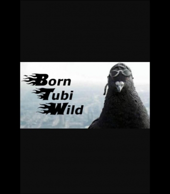 Buy Born Tubi Wild (PC) CD Key and Compare Prices