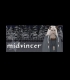 Buy Midvinter CD Key and Compare Prices 