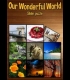 Buy Our Wonderful World CD Key and Compare Prices 