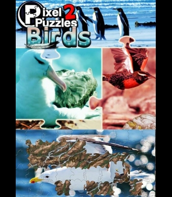 Buy Pixel Puzzles 2: Birds CD Key and Compare Prices 