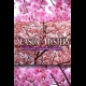 Buy SEASON OF MYSTERY: The Cherry Blossom Murders (PC) CD Key and Compare Prices