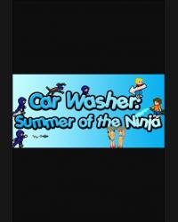 Buy Car Washer: Summer of the Ninja (PC) CD Key and Compare Prices
