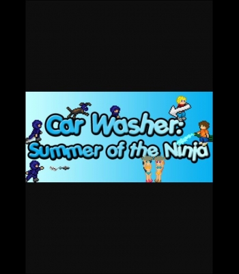 Buy Car Washer: Summer of the Ninja (PC) CD Key and Compare Prices