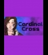Buy Cardinal Cross (PC) CD Key and Compare Prices