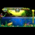 Buy Catch'em (PC) CD Key and Compare Prices