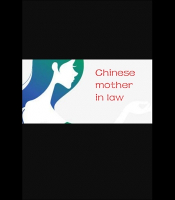 Buy Chinese mother in law (PC) CD Key and Compare Prices