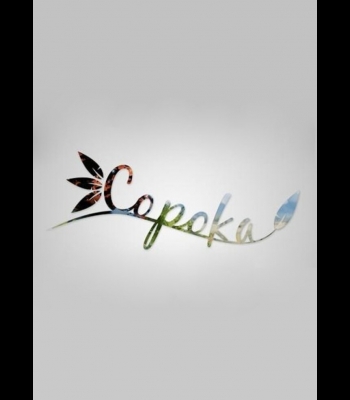 Buy Copoka CD Key and Compare Prices 