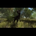 Buy Dinosaur Forest (PC) CD Key and Compare Prices