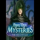 Buy Fairy Tale Mysteries 2: The Beanstalk CD Key and Compare Prices