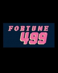 Buy Fortune-499 CD Key and Compare Prices