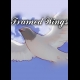 Buy Framed Wings CD Key and Compare Prices
