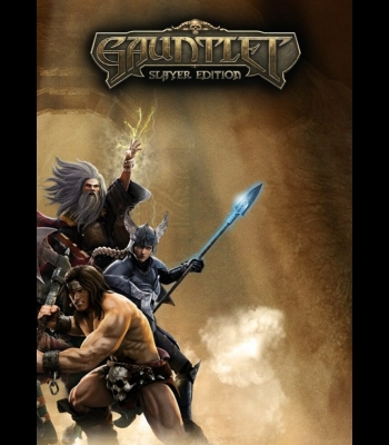 Buy Gauntlet: Slayer Edition + 12 DLC CD Key and Compare Prices 