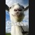 Buy Goat Simulator CD Key and Compare Prices 