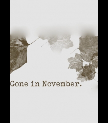 Buy Gone In November CD Key and Compare Prices 