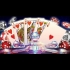 Buy Hoyle Official Casino Games Collection CD Key and Compare Prices