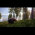 Buy Hunting Simulator 2 Bear Hunter Edition CD Key and Compare Prices