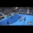 Buy IHF Handball Challenge 12 (PC) CD Key and Compare Prices