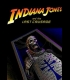Buy Indiana Jones and the Last Crusade CD Key and Compare Prices 