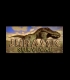Buy Jurassic Survival CD Key and Compare Prices 