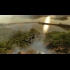 Buy Just Cause 2 + 8 DLCs + Multiplayer Mod CD Key and Compare Prices