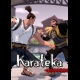 Buy Karateka CD Key and Compare Prices 