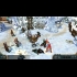 Buy King's Bounty: Warriors of the North CD Key and Compare Prices