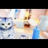 Buy Kitten'd (PC) CD Key and Compare Prices