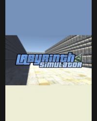 Buy Labyrinth Simulator CD Key and Compare Prices