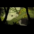 Buy Lara Croft GO CD Key and Compare Prices