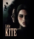Buy Little Kite CD Key and Compare Prices 