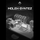 Buy MOLEK-SYNTEZ CD Key and Compare Prices 