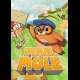 Buy Mail Mole CD Key and Compare Prices 