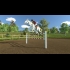 Buy My Little Riding Champion CD Key and Compare Prices