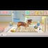 Buy My Universe - Pet Clinic Cats & Dogs (PC) CD Key and Compare Prices