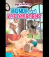 Buy My Universe - Puppies & Kittens (PC) CD Key and Compare Prices 