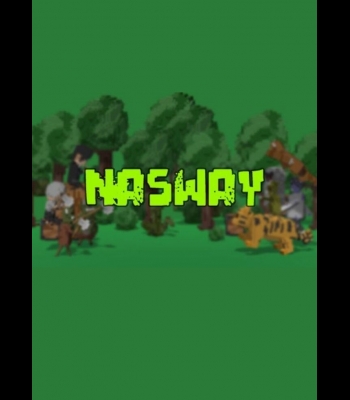 Buy NASWAY CD Key and Compare Prices 
