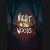 Buy Night in the Woods CD Key and Compare Prices 