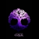 Buy OSK - The End of Time (PC) CD Key and Compare Prices