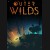 Buy Outer Wilds (PC) CD Key and Compare Prices 