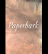 Buy Paperbark (PC) CD Key and Compare Prices 