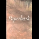 Buy Paperbark (PC) CD Key and Compare Prices 