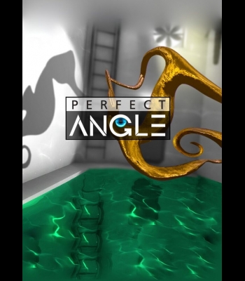 Buy Perfect Angle CD Key and Compare Prices 