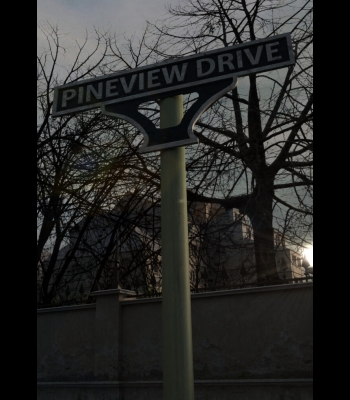 Buy Pineview Drive CD Key and Compare Prices 