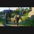 Buy Planet Zoo (Deluxe Edition) CD Key and Compare Prices