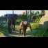 Buy Planet Zoo (Deluxe Edition) CD Key and Compare Prices