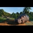 Buy Planet Zoo: Premium Edition (PC) CD Key and Compare Prices