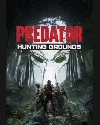 Buy Predator: Hunting Grounds CD Key and Compare Prices