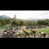 Buy Pro Cycling Manager 2017 CD Key and Compare Prices