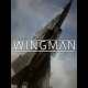 Buy Project Wingman CD Key and Compare Prices 