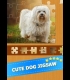 Buy Puppy Dog: Jigsaw Puzzles CD Key and Compare Prices 